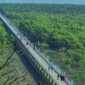 মহেশখালী দ্বীপ